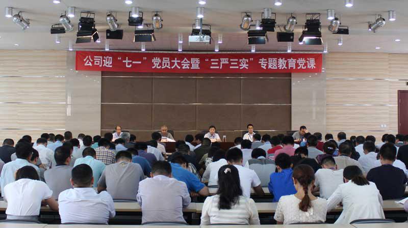 『党群动态』公司召开迎“七一”党员大会暨“三严三实”专题教育党课