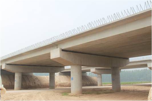 济宁至祁门高速公路永城段二期工程（S97）